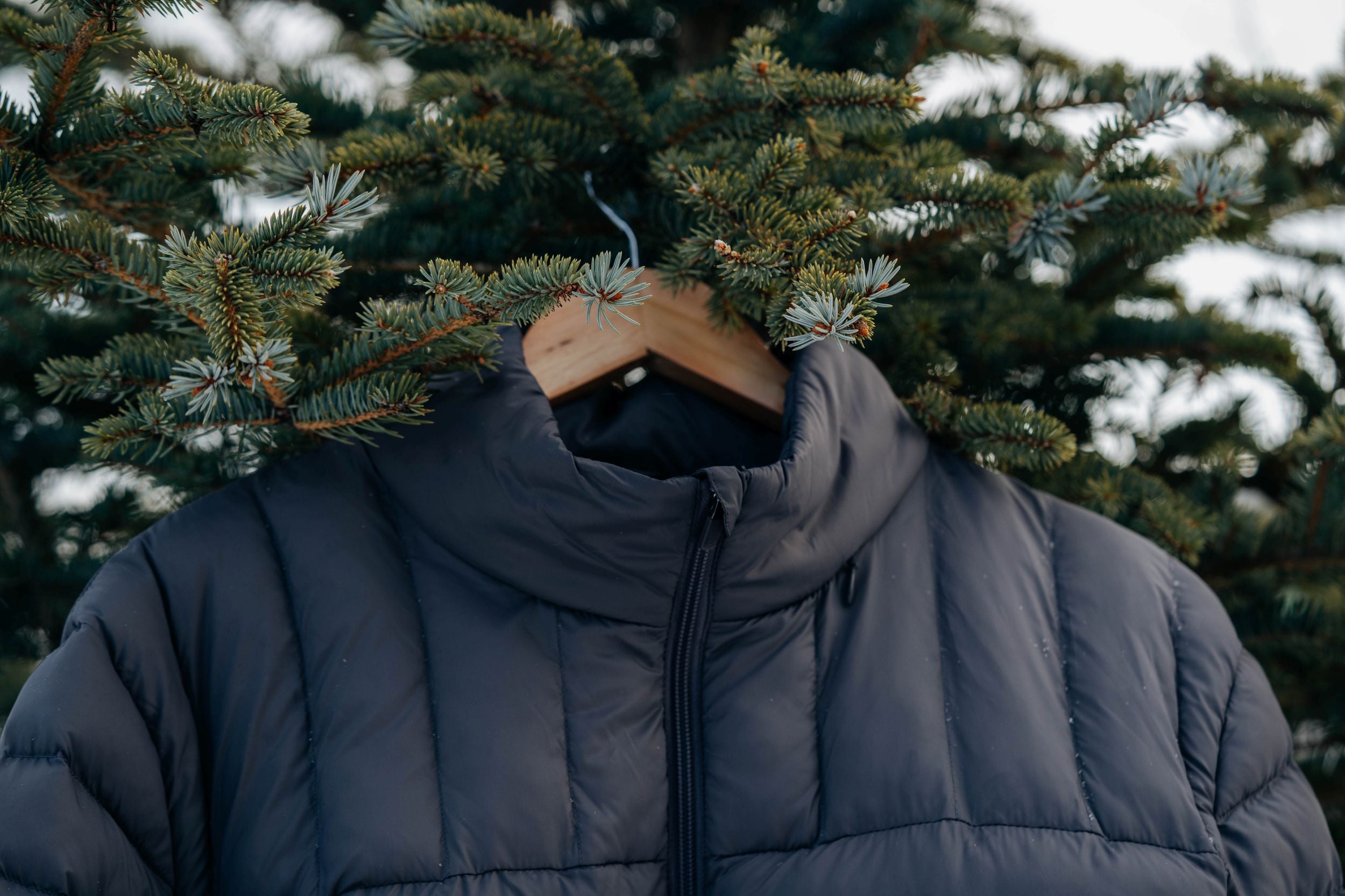 Primaloft Packable Vest in Black hanging in a Pine Tree