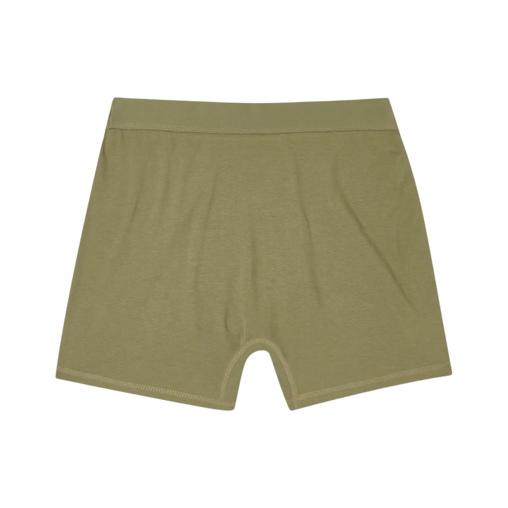 Bamboo Brief Fern back flat