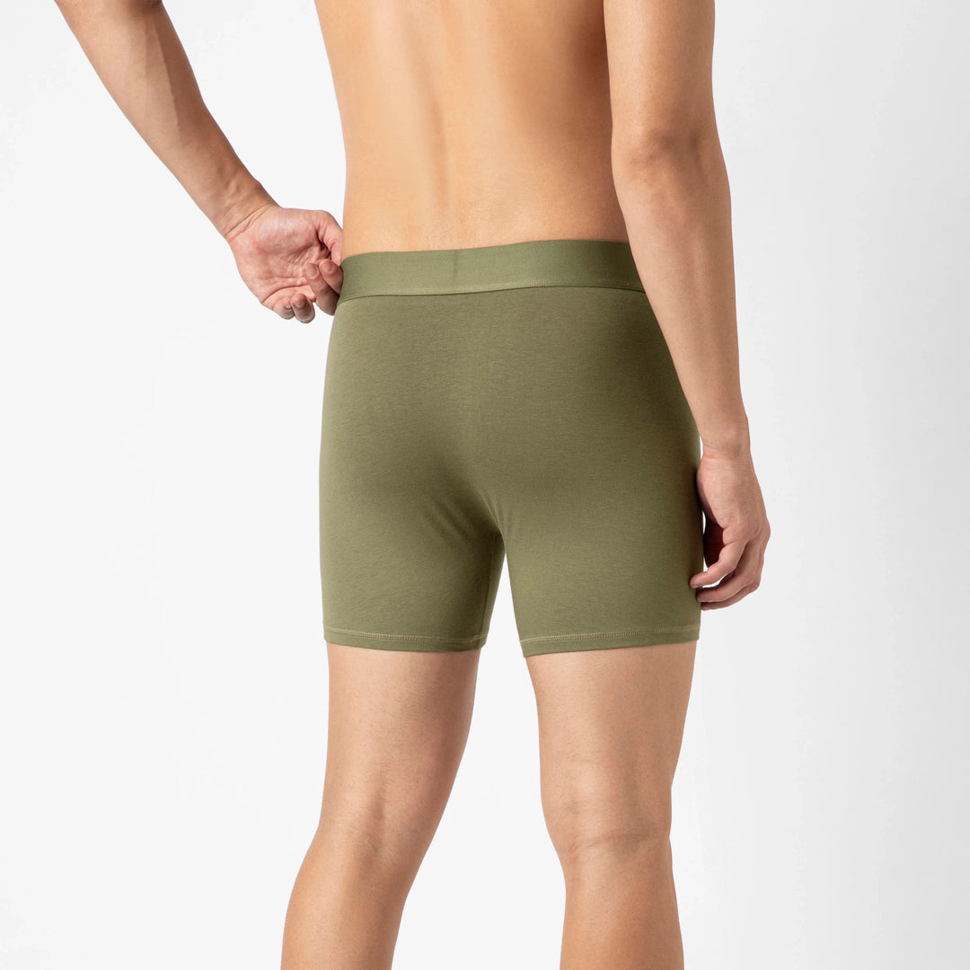 Bamboo Brief Fern back on model