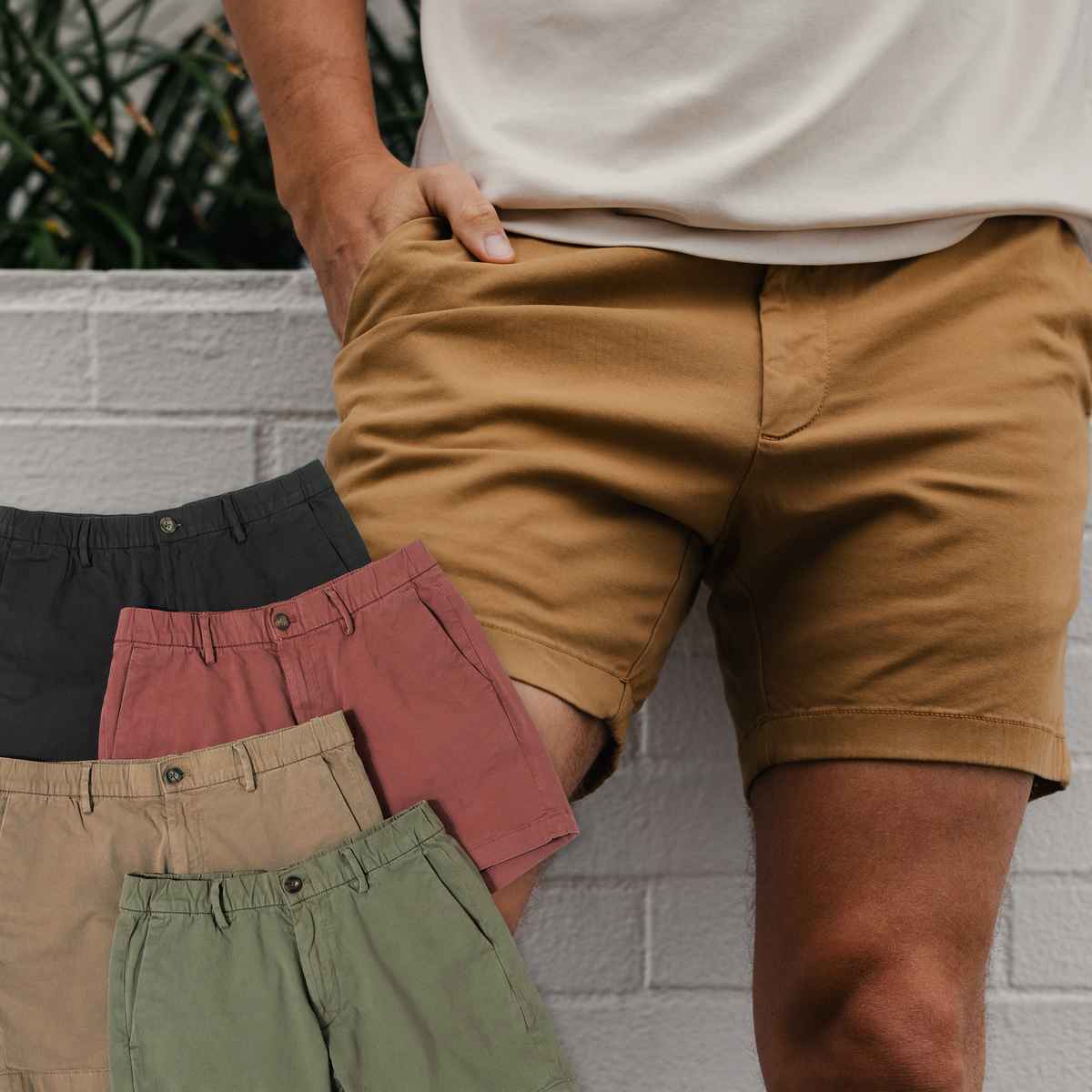 Stretch Chino Short Bundle