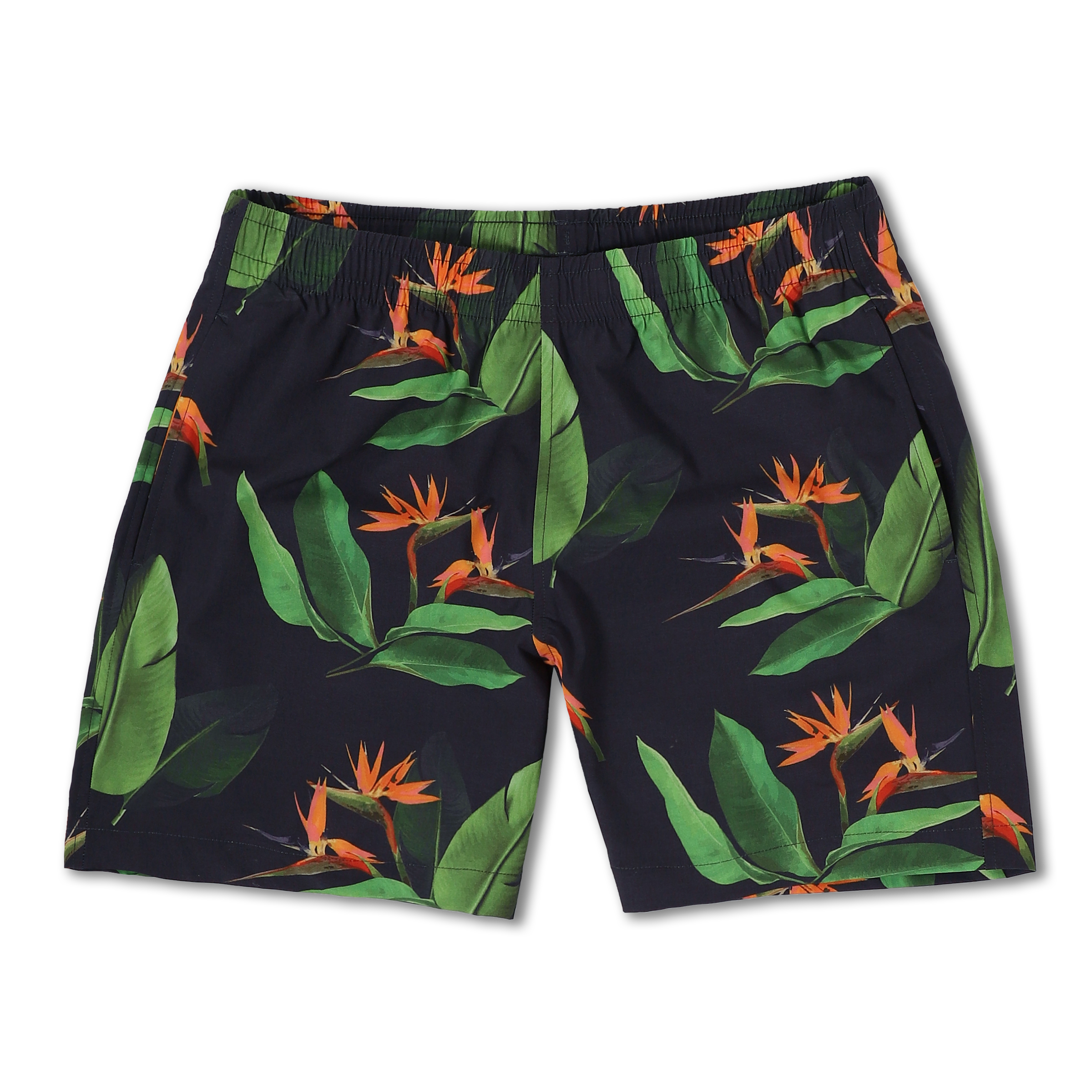 Cabana Short 5.5" Paradise a black print with birds of paradise  on a short with an elastic waistband and two side seam pockets