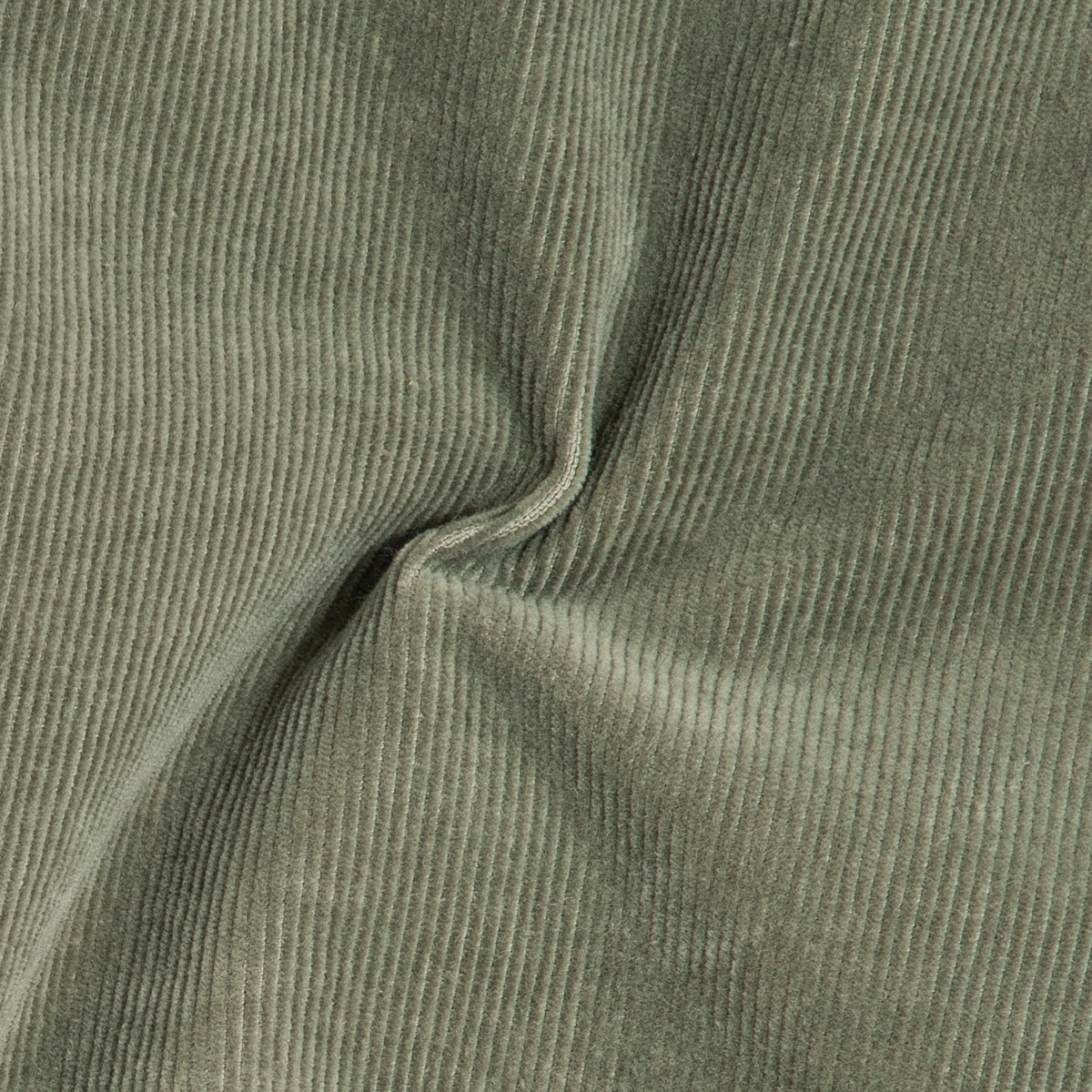 Corduroy 5-Pocket Pant Moss close up fabric