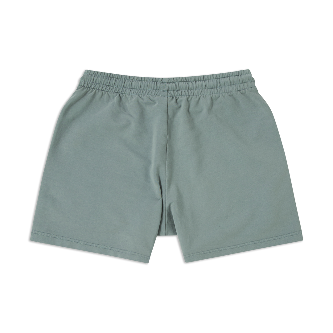 Lounge Short 5 Shark Grey back flat