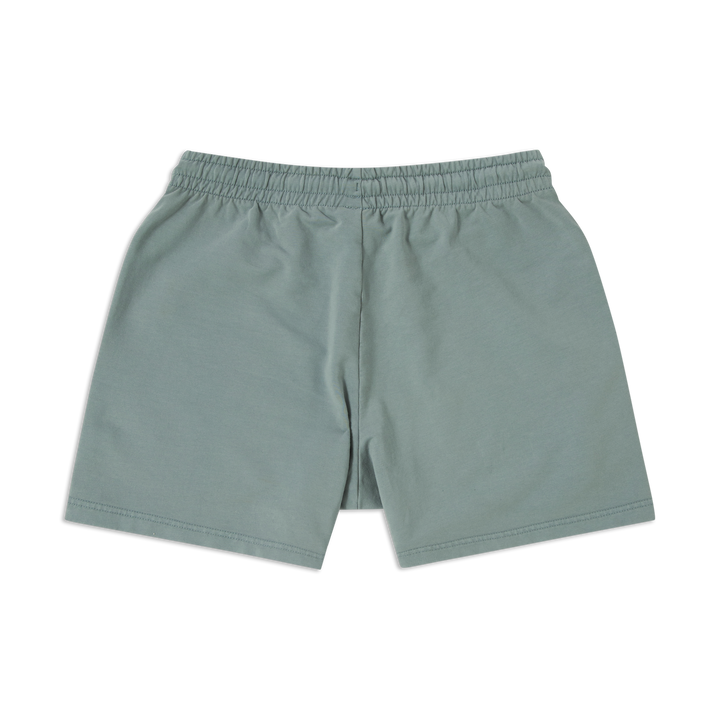 Lounge Short 5 Shark Grey back flat