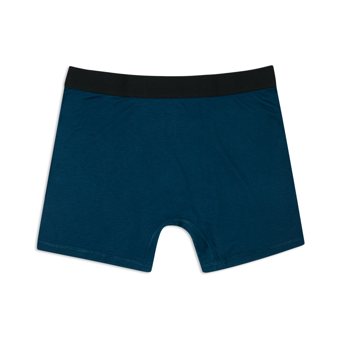 Modal Boxer Brief Ocean back