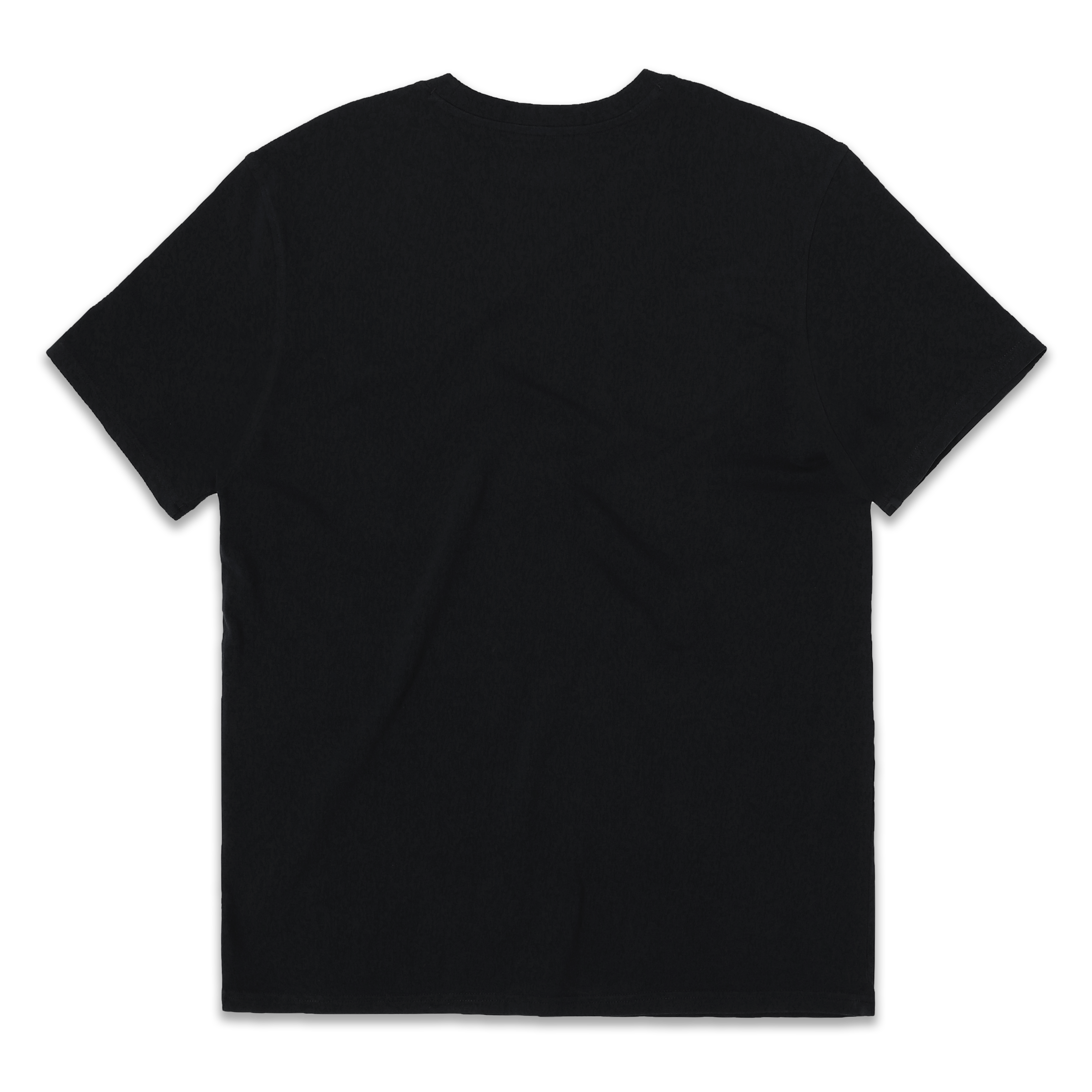 Natural Dye Tee Black back with crewneck and short sleeves