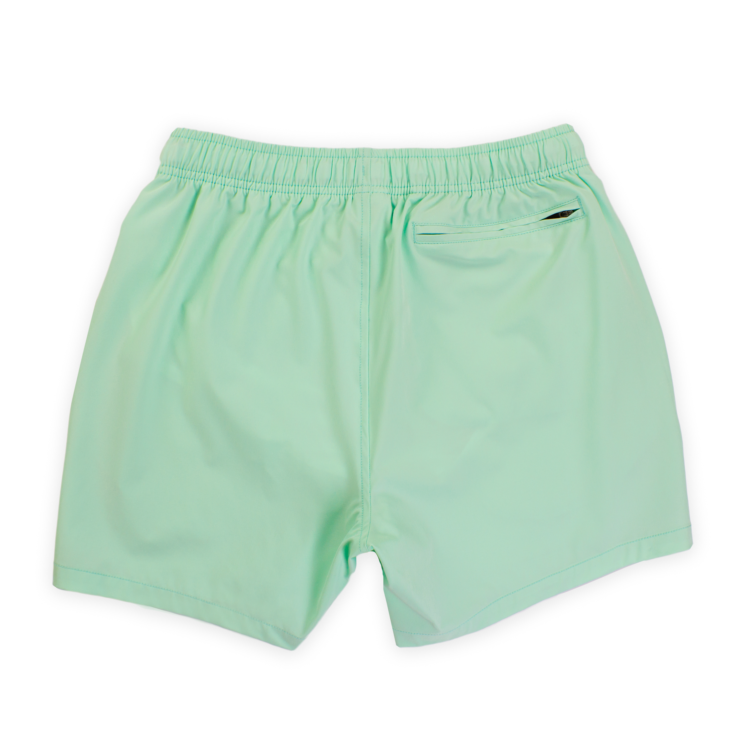 Stretch Swim 5.5" in Mint back with elastic waistband and back right zippered pocket